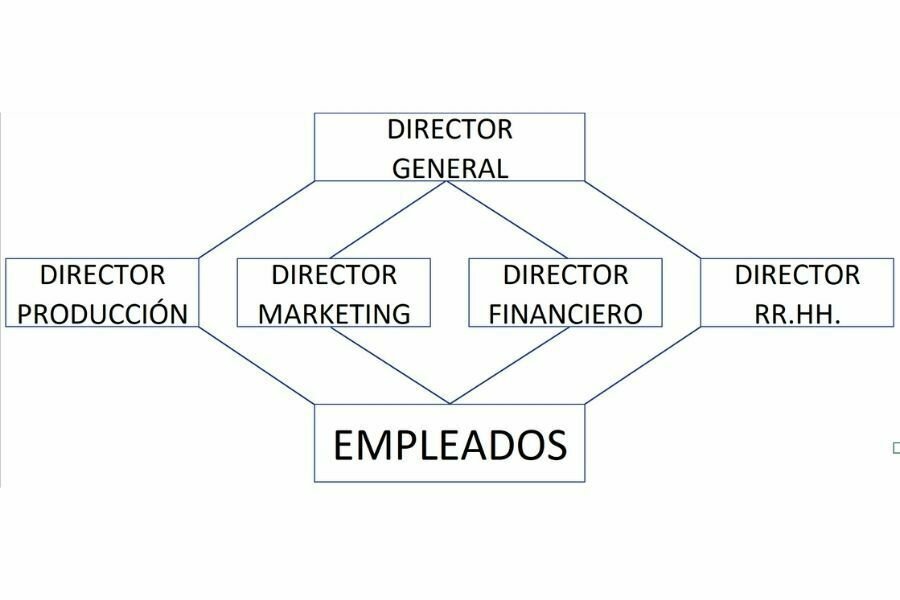organigrama de la empresa funcional