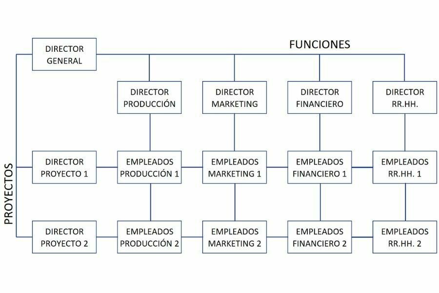 Estructura Matricial