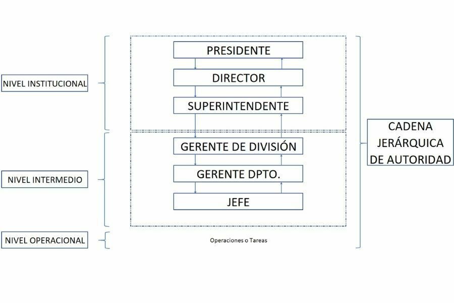 Gráfico organigrama de la empresa en jerarquía