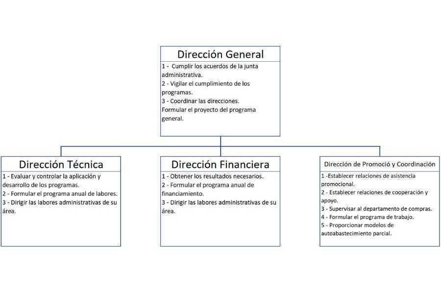 tipos de Organigramas Funcional de una empresa