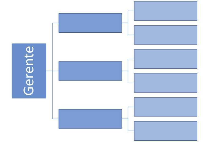 tipos de Organigramas horizontal de una empresa