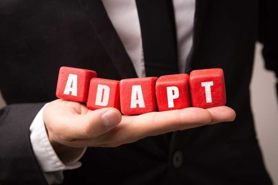 La adaptación al entorno con la estrategia corporativa