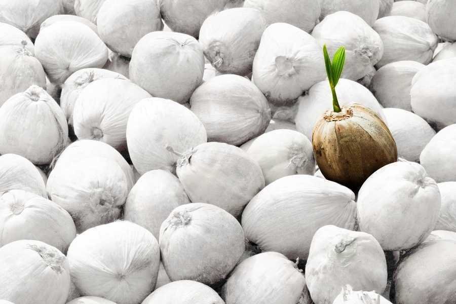 Diferenciación del producto como estrategia 