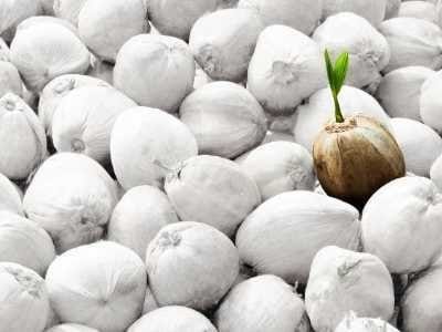 Estrategia de diferenciación del producto